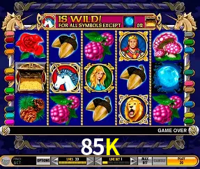 VIP Casino 85K